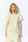 Cream Yellow