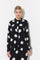 Big Dots